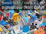 Кнопка KLS7-TS6604-4.3-180 