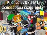 Кнопка EVQPLMA15 