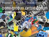 Кнопка L-KLS7-TS6606-13.0-180