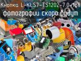 Кнопка L-KLS7-TS1202-7.0-180