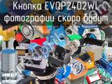 Кнопка EVQP2402WL