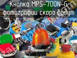 Кнопка MPS-700N-G 