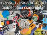 Кнопка IT-1158-160G-G T&R 