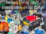 Кнопка EVPAF7B65L