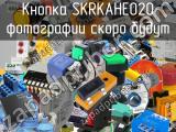 Кнопка SKRKAHE020 