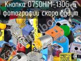 Кнопка 0750HIM-130G-G 