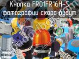 Кнопка FR01FR16H-S