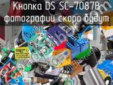 Кнопка DS SC-7087B