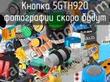 Кнопка 5GTH920