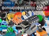 Кнопка L-KLS7-TS6604-6.0-180-T 