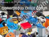 Кнопка L-KLS7-TS6608-2.5-180-T / SWT-32 