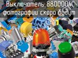 Выключатель 8800004