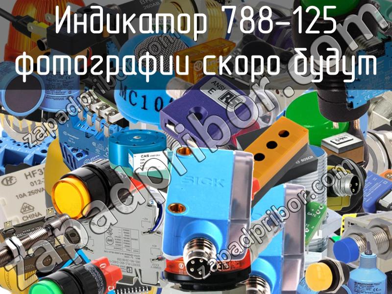 Индикатор 788-125 фотография.