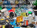 Реле TRKP-L-S-H2-24VDC 