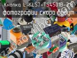 Кнопка L-KLS7-TS4501B-3,8 