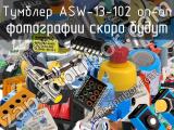 Тумблер ASW-13-102 on-on 