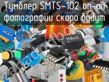Тумблер SMTS-102 on-on 