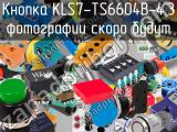 Кнопка KLS7-TS6604B-4.3 