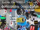 Кнопка R16-503BD-R Non Lock 