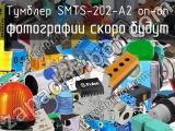 Тумблер SMTS-202-A2 on-on 