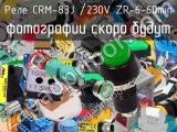 Реле CRM-83J /230V ZR-6-60min 