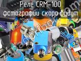 Реле CRM-100