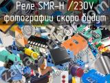 Реле SMR-H /230V 