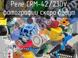 Реле CRM-42/230V 