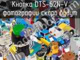 Кнопка DTS-62N-V