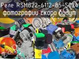 Реле RSM822-6112-85-S024 