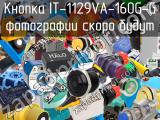 Кнопка IT-1129VA-160G-G 