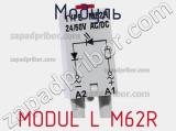 Модуль MODUL L M62R 