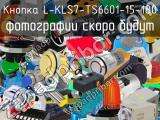 Кнопка L-KLS7-TS6601-15-180 