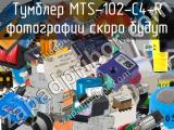 Тумблер MTS-102-C4-R 