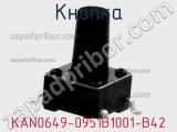 Кнопка KAN0649-0951B1001-B42 фотография 3.