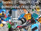 Кнопка IT-1188E-160G-G 