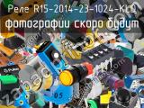 Реле R15-2014-23-1024-KLD 