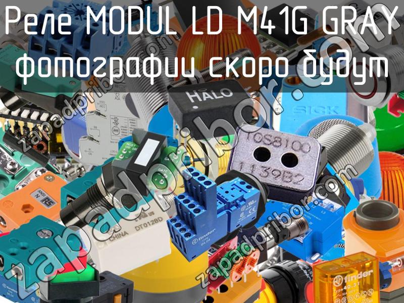 Реле MODUL LD M41G GRAY фотография.