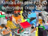 PZ8-01