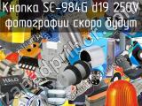 Кнопка SC-984G d19 250V 