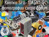 Кнопка SPB-10AGN1-G 