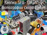 Кнопка SPB-10AGN1-G