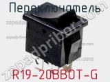 Переключатель R19-20BBOT-G 