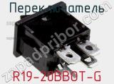 Переключатель R19-20BBOT-G фотография 3.