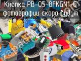 PB-05-8FKGN1-G