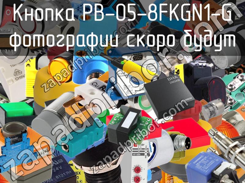 Кнопка PB-05-8FKGN1-G фотография.