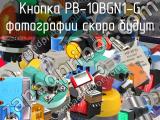 Кнопка PB-10BGN1-G 
