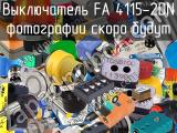 Выключатель FA 4115-2DN 