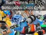 Выключатель FD 531