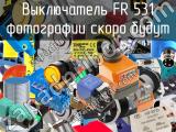 Выключатель FR 531 